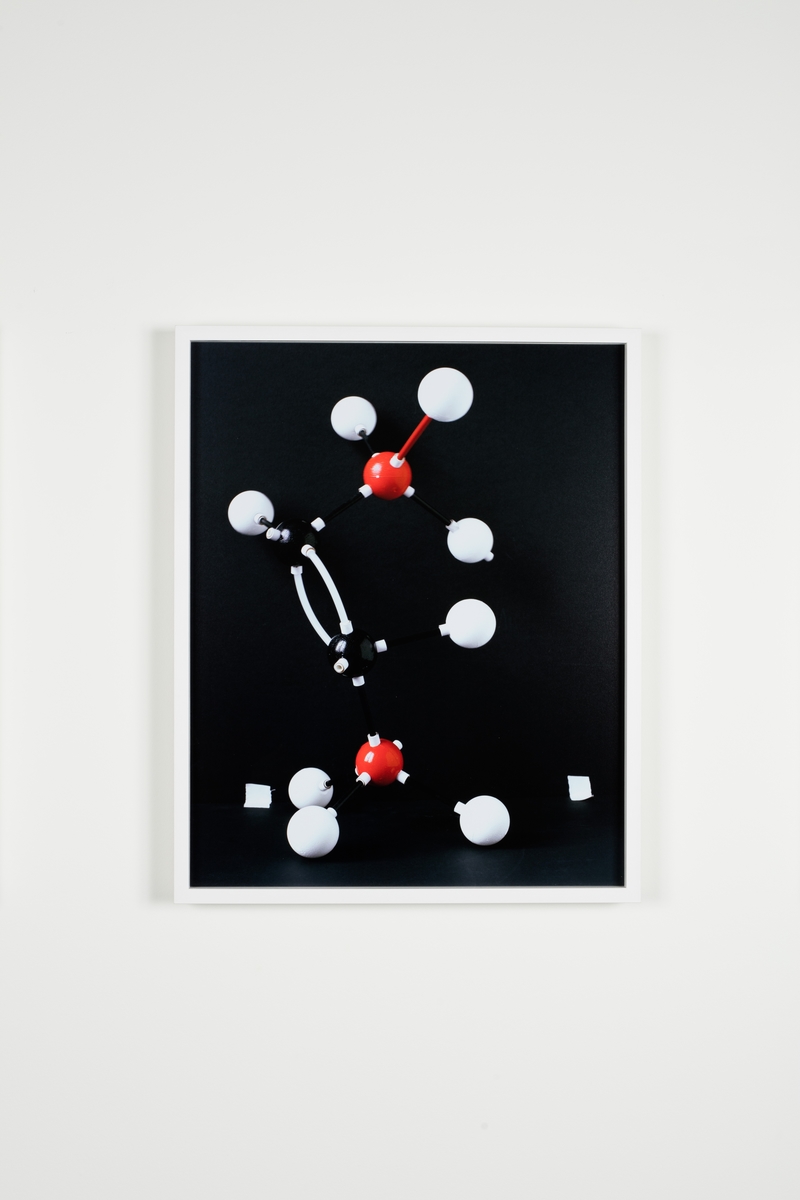 Hennes prosjekt for Urbygningen "Still Life #1- 9" er serie fargefotografier som viser ulike objekter fra virksomheten ved NMBU. Objektene er iscenesatte og bildene fremstår som fargerike, dekorative stilleben der gjenstandene inngår i et nærmest surrealistisk univers. Fotografi oppfattes av mange som å være et objektivt sannhetsvitne, men hva slags sannhet som dokumenteres her er høyst uklar. Marte Aas framhever at all forskning er en del av ulike sannhetsregimer som både kan utfordre og utslette hverandre over tid. En forskningsprosess vil alltid bære med seg subjektiv omgang med en objektiv virkelighet. Betrakteren er alltid en del av det hun betrakter. De objektene vi omgir oss med er ikke nøytrale og de forteller ofte potente historier om samtid, ideologi og politikk. Ved å isolere og tydeliggjøre noen av tingene fra NMBU i fotografier vil kanskje en ny historie om universitetet kunne leses. Hennes arbeider baserer seg snarere på et poetisk enn et positivistisk, forhold til tingene. De ni fotografiene er montert som to serier og plassert i sosiale soner foran to av byggets foredragssaler.