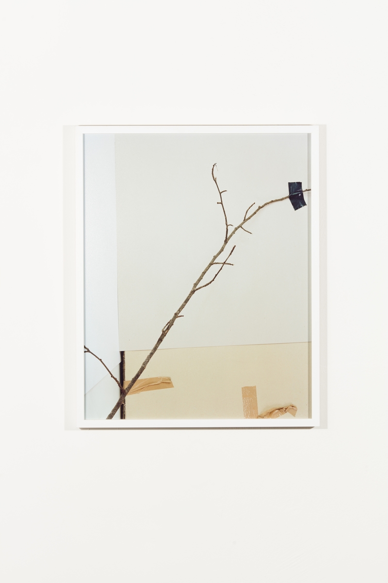 Hennes prosjekt for Urbygningen "Still Life #1- 9" er serie fargefotografier som viser ulike objekter fra virksomheten ved NMBU. Objektene er iscenesatte og bildene fremstår som fargerike, dekorative stilleben der gjenstandene inngår i et nærmest surrealistisk univers. Fotografi oppfattes av mange som å være et objektivt sannhetsvitne, men hva slags sannhet som dokumenteres her er høyst uklar. Marte Aas framhever at all forskning er en del av ulike sannhetsregimer som både kan utfordre og utslette hverandre over tid. En forskningsprosess vil alltid bære med seg subjektiv omgang med en objektiv virkelighet. Betrakteren er alltid en del av det hun betrakter. De objektene vi omgir oss med er ikke nøytrale og de forteller ofte potente historier om samtid, ideologi og politikk. Ved å isolere og tydeliggjøre noen av tingene fra NMBU i fotografier vil kanskje en ny historie om universitetet kunne leses. Hennes arbeider baserer seg snarere på et poetisk enn et positivistisk, forhold til tingene. De ni fotografiene er montert som to serier og plassert i sosiale soner foran to av byggets foredragssaler.