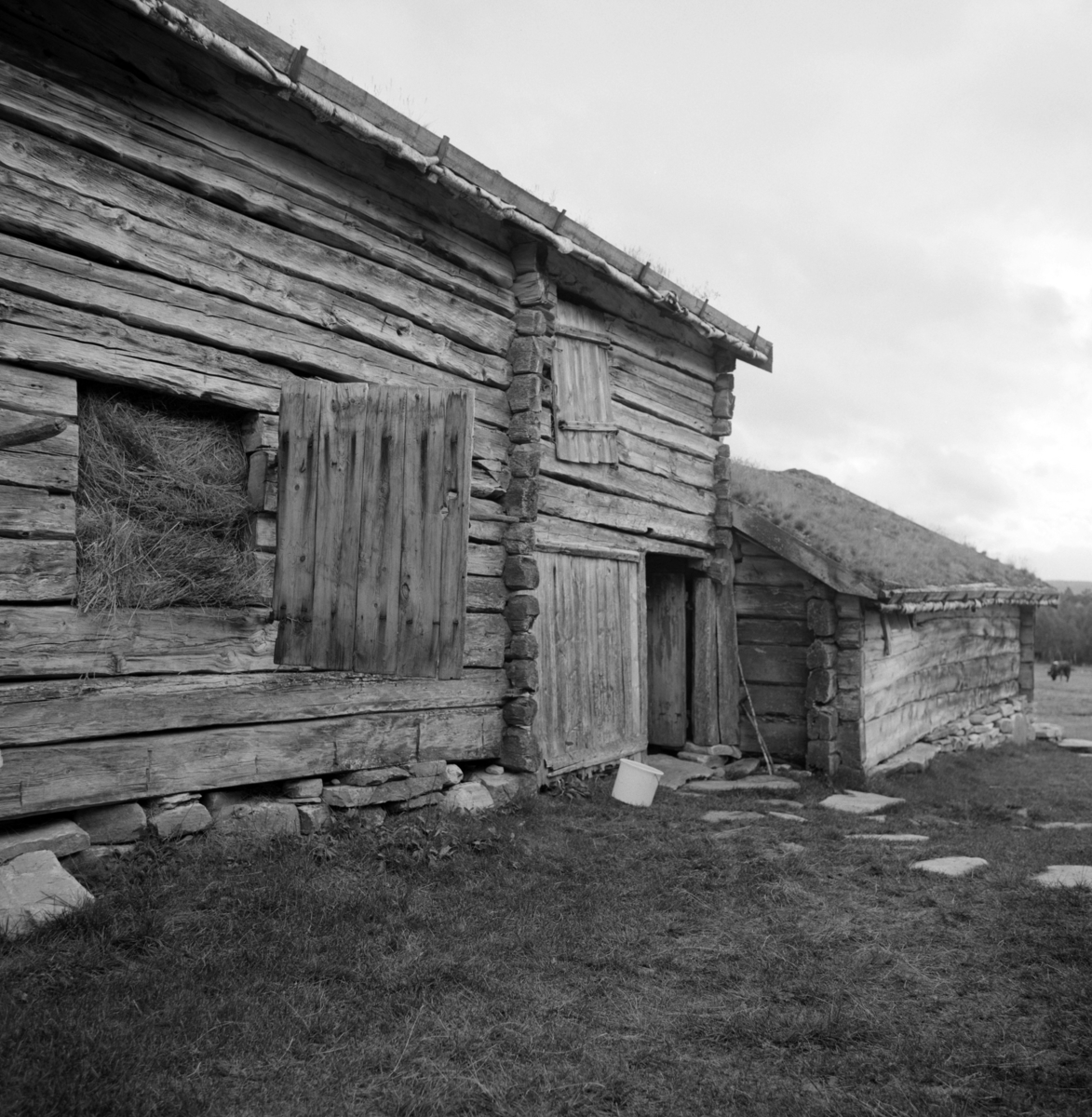 Fjølburøsta, Feragen. Seter. Røros. Høylåve, vintersetring,