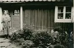 Rosina ... framför sin stuga omkring 1956.