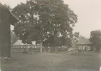 I förgrunden mangården och lönnar vid grinden mellan man- och ladugård. Till höger och vänster mangårdsflyglarna.