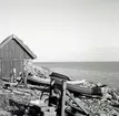 Sjöbodar på Öland. Möjligen Äleklinta eller Bruddesta, men i vart fall nordvästra ön då man skymtar Blå Jungfrun vid horisonten.