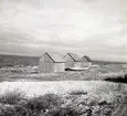 Sjöbodar på Öland.