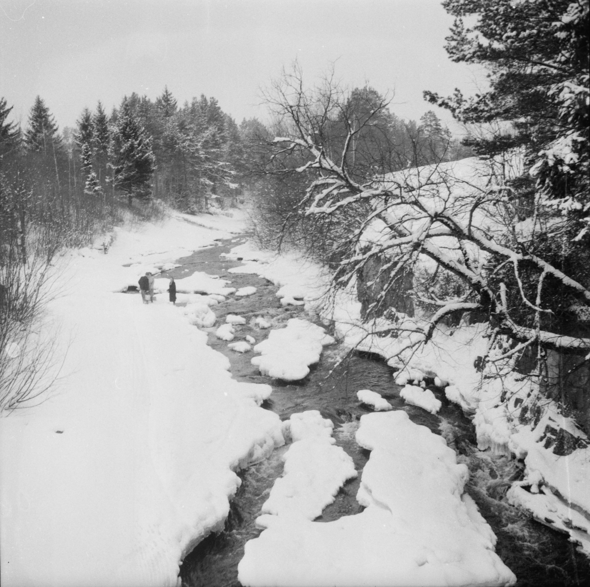 Vardens arkiv. "Håpløse vannforhold på Jøntvedt"  18.02.1954