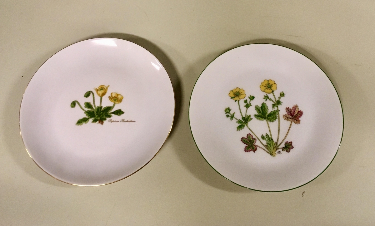 To asjetter, ett tefat og en kopp i hvitt porselen med grønn kant fra Porsgunds Fjellflora-serie. Blomsterdekor i grønt, gult og lilla.

To asjetter, ett tefat og to kopper i hvitt porselen med gullkant fra Bavaria-Germany. Motivet ligner Porsgrunds motiv, men ikke ren kopi.