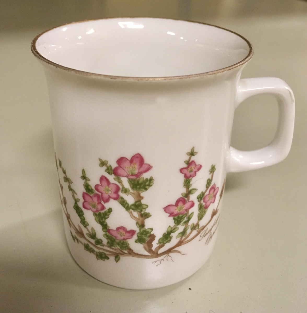 To asjetter, ett tefat og en kopp i hvitt porselen med grønn kant fra Porsgunds Fjellflora-serie. Blomsterdekor i grønt, gult og lilla.

To asjetter, ett tefat og to kopper i hvitt porselen med gullkant fra Bavaria-Germany. Motivet ligner Porsgrunds motiv, men ikke ren kopi.