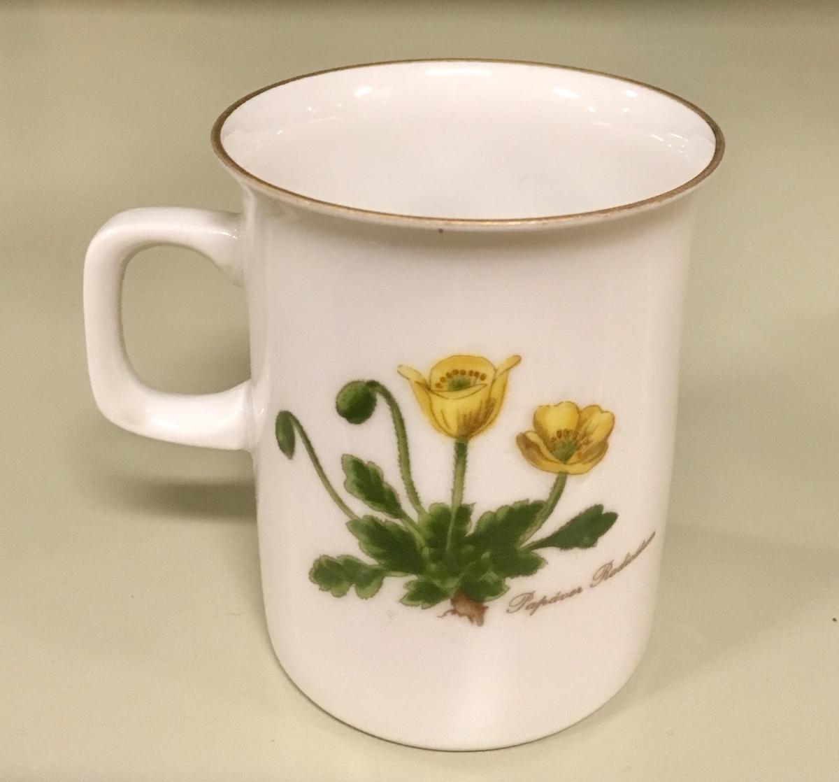 To asjetter, ett tefat og en kopp i hvitt porselen med grønn kant fra Porsgunds Fjellflora-serie. Blomsterdekor i grønt, gult og lilla.

To asjetter, ett tefat og to kopper i hvitt porselen med gullkant fra Bavaria-Germany. Motivet ligner Porsgrunds motiv, men ikke ren kopi.