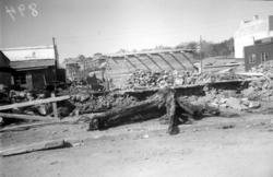 Bilde av en stor trerot som er gravd opp fra myra på sørsida