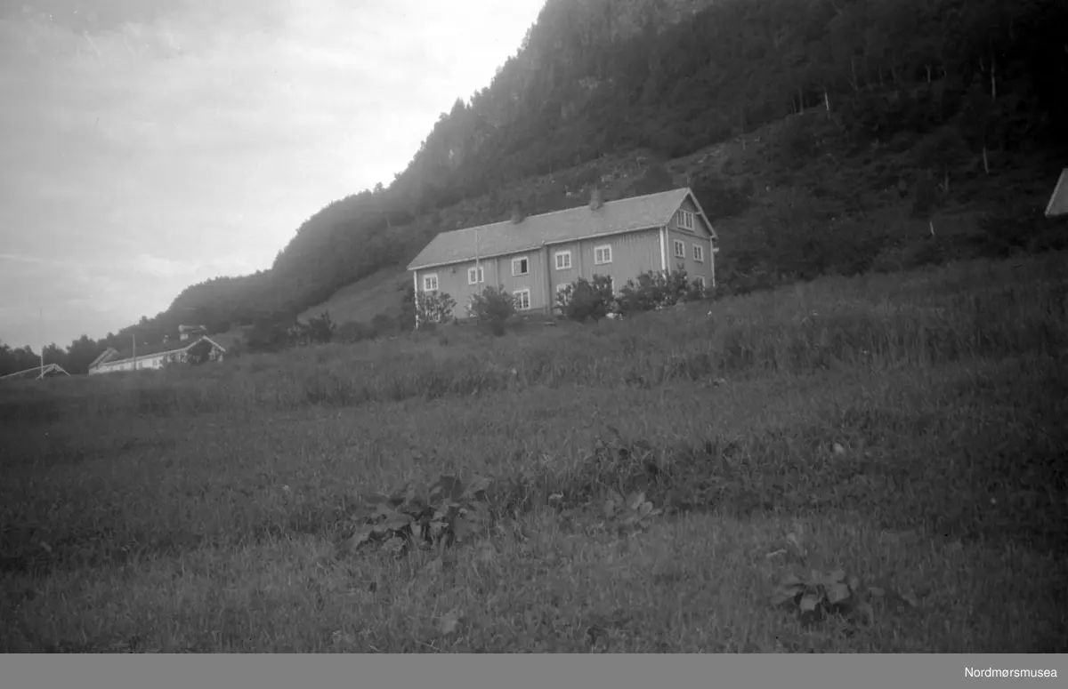Brøskegården i Stangvik. Nerstua nærmest, med Oppistua i bakgrunnen.  På gården ser vi et våninghus med stående paneling. Bildet er datert oktober 1951. Nordmøre Museum