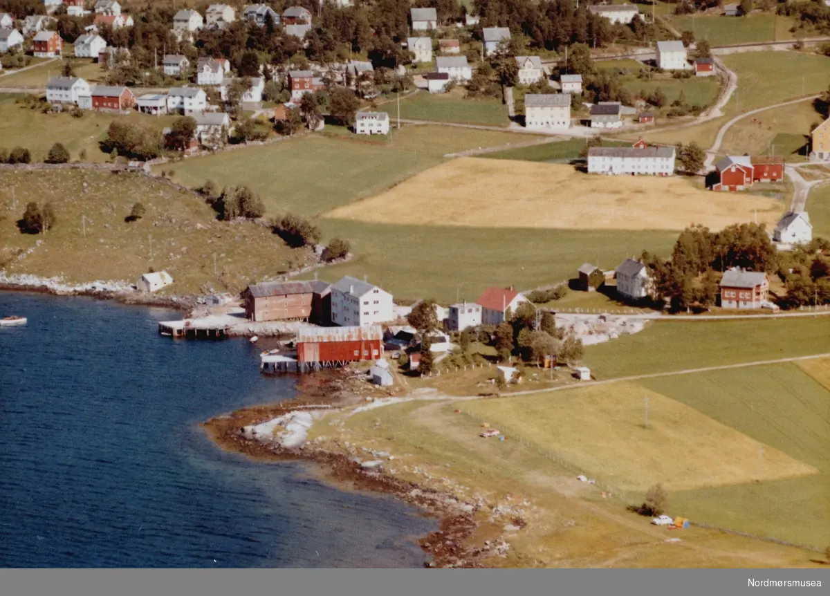 Flyfoto fra Rimstad på Tingvoll. Bildet er datert 30. juli 1963, og fotograf er Widerøe's Flyveselskap a/s. Fra Nordmøre Museums fotosamlinger.
