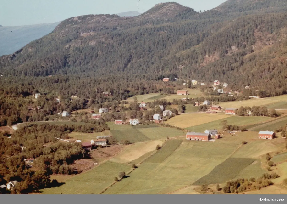 Flyfoto fra Kvisvik på Tingvoll. Gården ";Bønna"; sees midt i bildet og gården ";Haugen"; nede til venstre. Bildet er datert 30. juli 1963, og fotograf er Widerøe's Flyveselskap a/s. Fra Nordmøre Museums fotosamlinger. /Reg:EFR2013/
