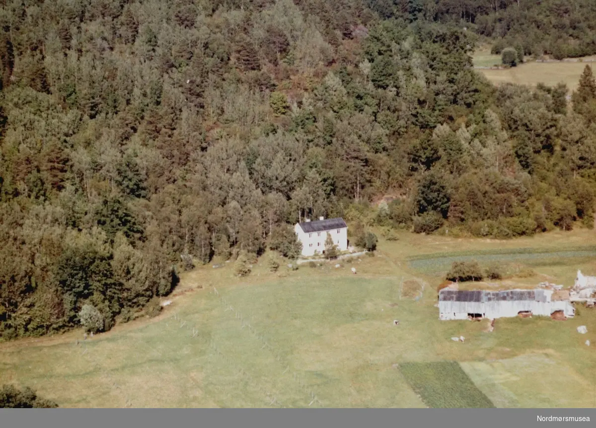 Flyfoto fra ";Strupnes"; på Øydegard i Tingvoll kommune. Bildet er datert 30. juli 1963, og fotograf er Widerøe's Flyveselskap a/s. Fra Nordmøre Museums fotosamlinger.
