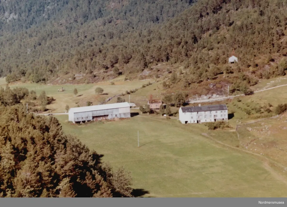 Flyfoto fra Nålsund på Øydegard i Tingvoll kommune. Bildet er datert 30. juli 1963, og fotograf er Widerøe's Flyveselskap a/s. Fra Nordmøre Museums fotosamlinger.
