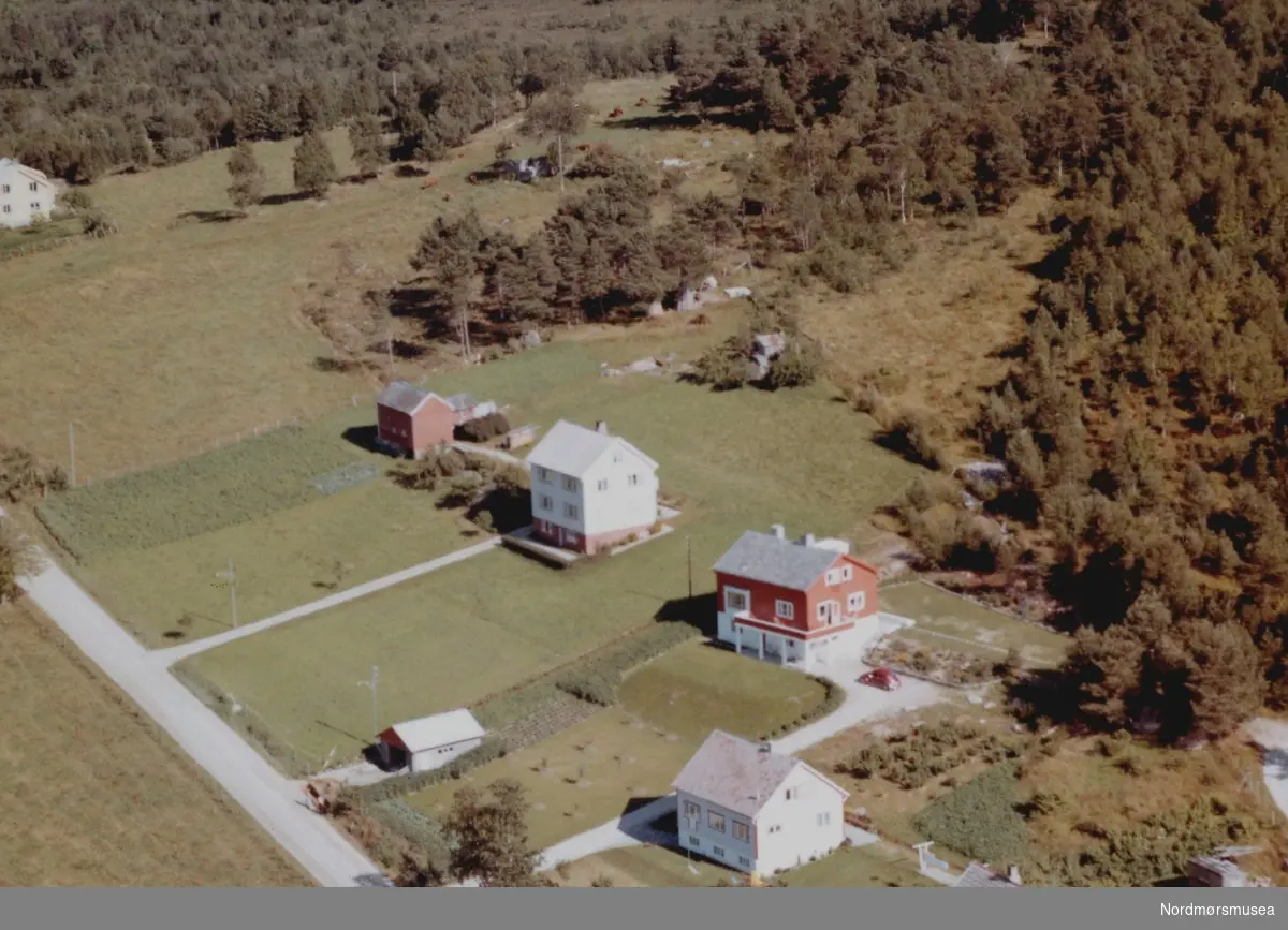 Flyfoto trolig fra Kvisvik i Tingvoll kommune. Her ser vi noen boliger (med navn per 1992): ";Indregård"; med eier Ole Indergård, ";Vårtun"; med eier Lars Nymark og ";Lillevangen"; med eier Anders O. Koksvik. Bildet er datert 30. juli 1963, og fotograf er Widerøe's Flyveselskap a/s. Fra Nordmøre Museums fotosamlinger. Foto fra Vågbøvegen i Tingvoll. Foto fra Vågbøvegen i Tingvoll. (Informant: Jan-Harald Rolland.)





