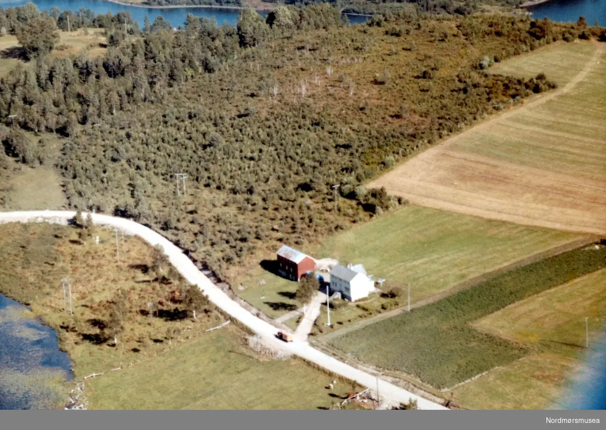 Flyfoto fra gården Bjerkåsa på Kanestraum i Tingvoll kommune. Gården tilhører trolig Per Kanestraum, men per 1992 har hans sønn tatt over gården og bygd seg hus der. Bildet er datert 30. juli 1963, og fotograf er Widerøe's Flyveselskap a/s. Fra Nordmøre Museums fotosamlinger
