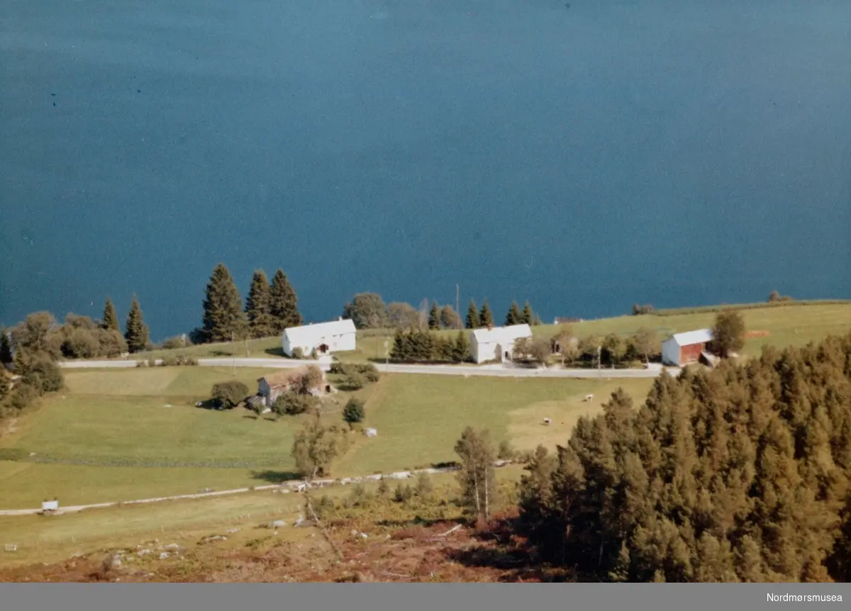 Flyfoto av ";Røkkumsnes"; i Sunndal kommune. Bildet er datert 31/7-1963. Fra Nordmøre Museums samlinger.
