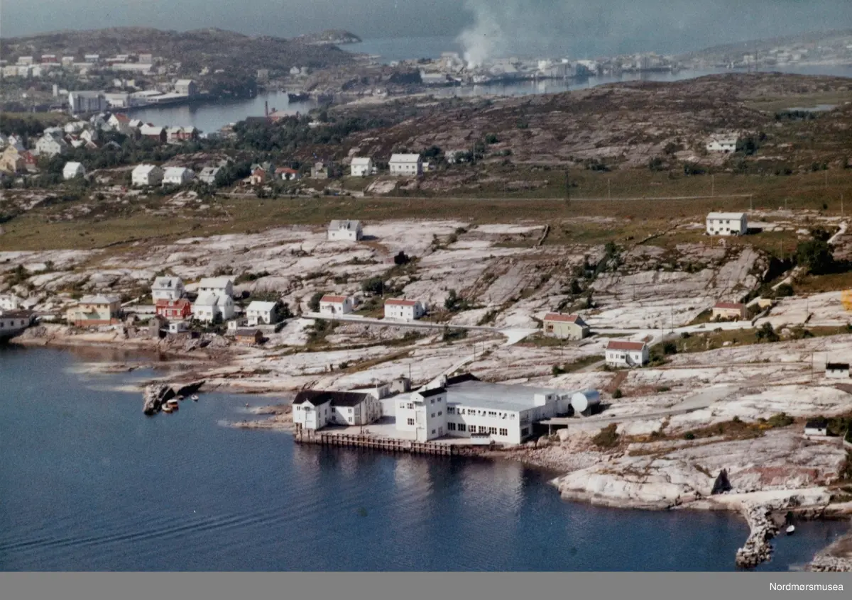 Dette er ikke Algea, men fisketørkings-anlegget til A/S Vikan (den nye delen til høyre). Like til høyre for denne delen, på "pynten", ble arbeidet  med de aller første delene av Vestbase startet, i 1979. (Info: Bjørn Brevik 2018) -  Flyfoto fra Nordlandet i Kristiansund.  Øverst til høyre i bildet kan man se Skorpa, og øverst til venstre i bildet ser man Gomalandet. Bildet er datert 11. juli 1962. Fra Nordmøre Museums samlinger. Tilleggsinfo: Dette er Anlegget, opprinnelig tilhørende Vikan AS. Senere holdt "Myra (plast) båt" til her, inntil utbyggingen av Vestbase. Myra båt holder nå (2012) til hos Oss-Nor AS i Omagata ved innseilingen til Marcussundet. Algea AS har "alltid" holdt til utenfor bildets venstre kant, ved krysset Fostervoldsgt x Omagata (Omagataa 78). Her er også den vestre nedkjøringen til Vestbase.

 (Informant: Tor Arne Skålvik.)
