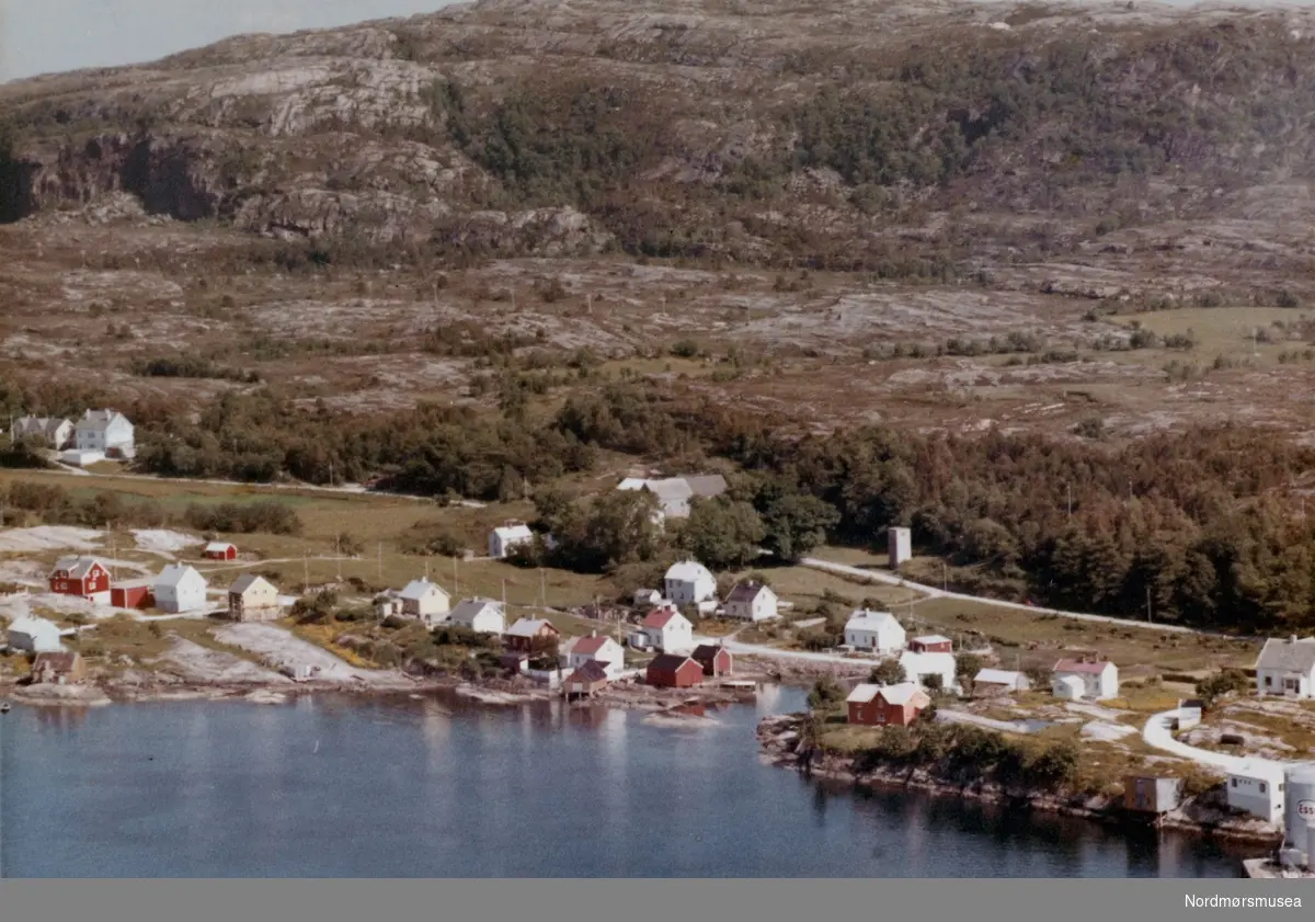 Bildet viser nord-Dale ved Kristiansund og bebyggelsen ved Dale gård.
Fra venstre, ved sjøen, ses bolighusene til Valen/Dahl og et naust, Stolpnes/Ulvund, Stenberg, Strømsnes og på Nausthaugen, Iversen, Eikrem/Olsen, Gjøstøl, Lyngvær og Bolme/Stokke/Gjelberg/Jakobsen og noen naust på nordsiden av Osen. 
Man ser at Naustveien er kommet langs de nevnte husene og man ser også den gamle Daleveien som gård gjennom tunet på Dale gård.
På øversiden av Naustveien ses, fra venstre, husene til Øverås, Rausand/Sandnes/Grawert og Haltbakk/Jakobsen på nordsiden av Osen. Videre ses husene til Sannes/Angvik, Sæter, Hjelseth/Olsen/Tølche, Øie/Wullum (Nordstua), kontoret til Esso tankanlegg, et naust tilhørende Korsnes og litt av oljetankene på Esso (tidligere kalt Vestlandske Petroleumscompagni)
Lengst til venstre ved den gamle Daleveien ses gamle Dale skole, og lengre til høyre langs Daleveien ses Dale gård i en treklynge med kårstua, våningshus og fjøsbygningen.
Til høyre for gården ses en transformatorkiosk og øverst i bildet ses Torvhaugen ubebygd og øverst Kvernberget. (Info: Peter Storvik) --
Flyfoto over Dale i Bremsnes kommune (fra 1964 Kristiansund). Datering 11 juli 1962. (Fra Nordmøre Museums fotosamlinger)