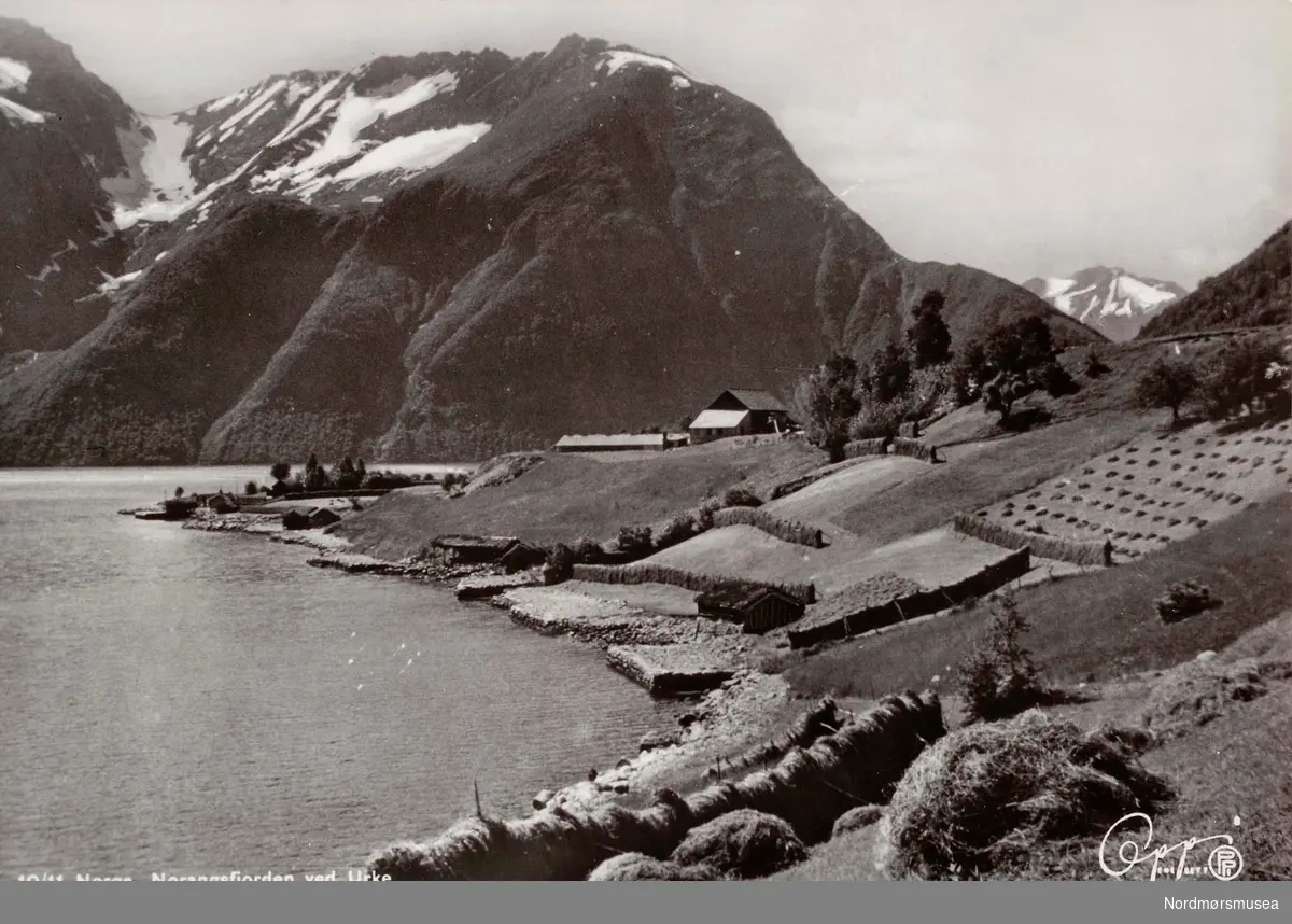 Postkort ";10/11"; med motiv fra Urke i Ørsta kommune. Her ser vi flere hersjer langs de bratte engene, som leder ned mot Norangsfjorden. Utgitt av Eberh. B. Oppi A/S. Fra Nordmøre Museums fotosamlinger. 
Reg: EFR
