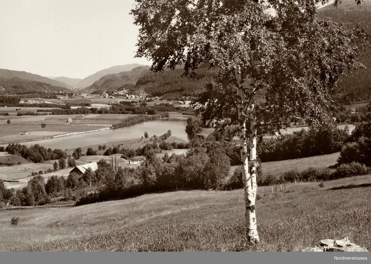 Postkort ";13-56-2"; hvor vi ser utover bygda, med pløyde marker og enger i Surnadal kommune. Fra Nordmøre Museums fotosamlinger.
