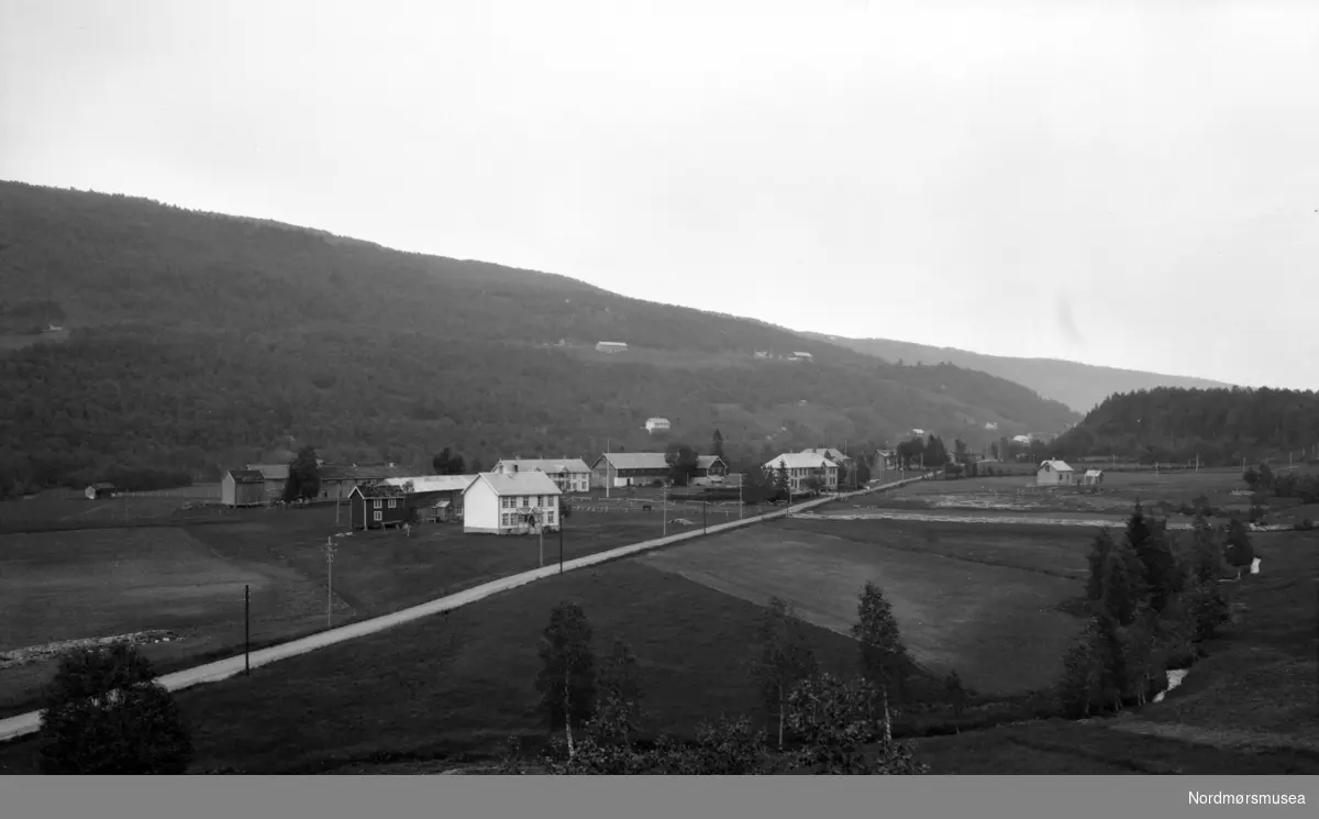 Flere gårdsbruk langs en vei. Fra Nordmøre museums fotosamlinger. EFR2015