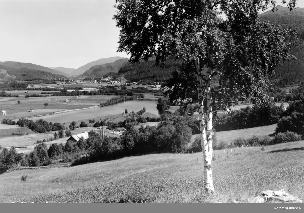 postkort
 Foto fra Surnadal kommune,
 et tre i forgrunnen på en av de skrånede engene, med ei bygd i bakgrunnen. Fotograf er Georg Sverdrup, og datering er sannsynligvis fra perioden 1930 til 1939. Fra Nordmøre Museums fotosamlinger.

Bildet er nok teke frå der Grytåfeltet ligg i dag,
 Vi ser oppover bygda mot Skei.
 (reg,;KTE)
