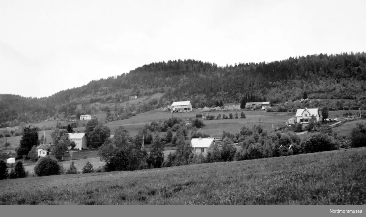 Parti fra bygda Kleive i Molde kommune, hvor vi ser noe av bebyggelsen ligge oppe i åsen. Fotograf er Georg Sverdrup og datering er 1937. Fra Nordmøre Museums fotosamlinger. Reg: EFR
