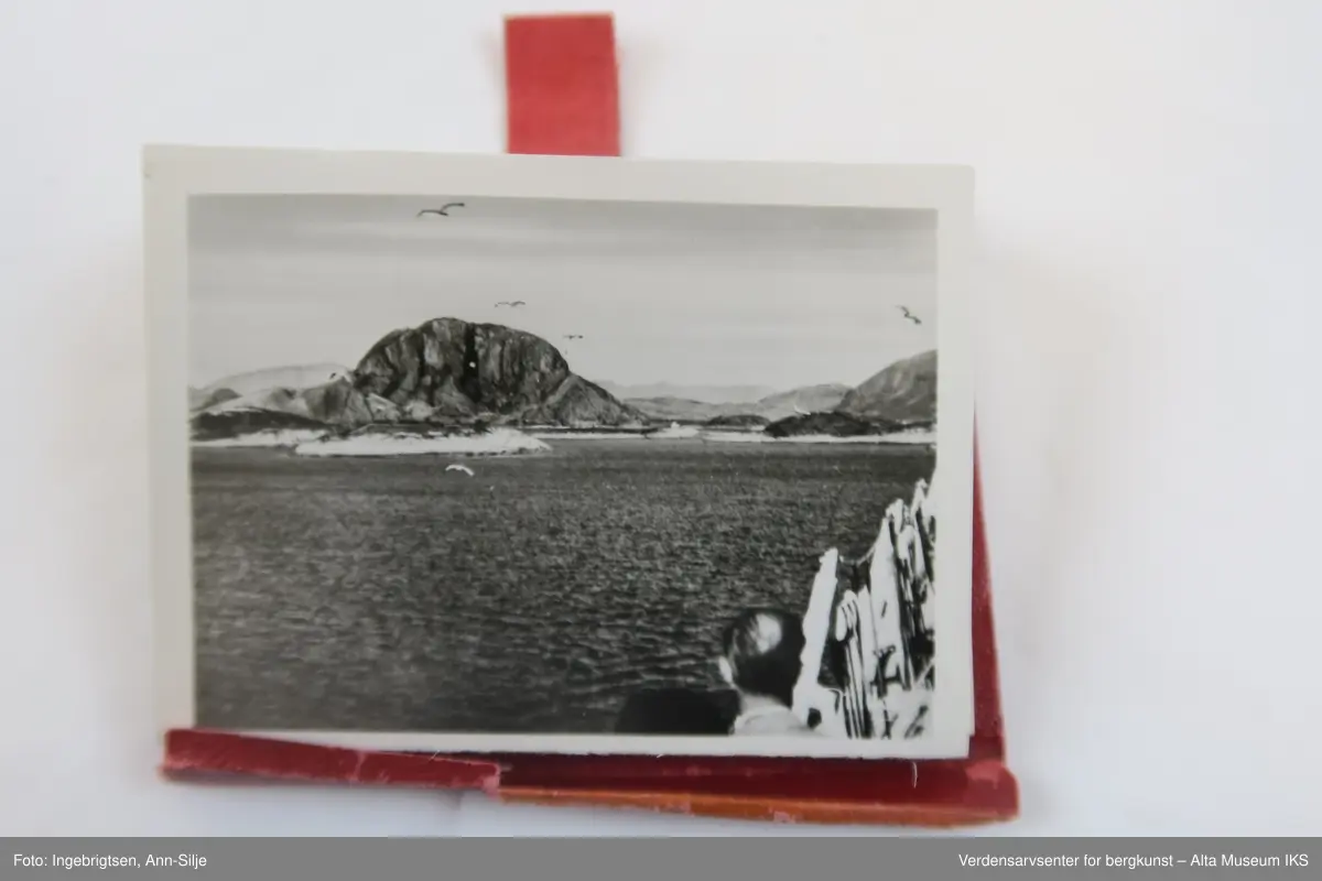 Tre små etuier i trukket lær og plast som inneholder hver sin remse med fotokopier med ulike motiver fra Nord-Norge. Remsene er festet i den ene enden til skinnplaten. 
Gjenstand A inneholder motiver av samer og deres levesett.
Gjenstand B inneholder motiver av landskap i Nord-Norge.
Gjenstand C inneholder motiver av landskap i midnattsol.