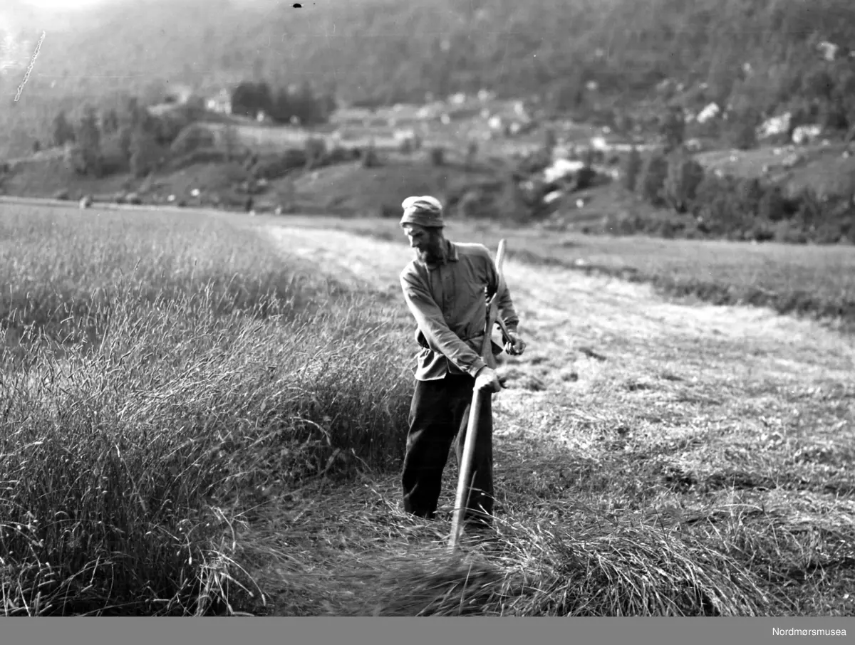 Slåttekar. Sunndal? landbruk, gras, gress, høy, for. Datering er ukjent, men trolig omkring 1930. Fra Nordmøre museums fotosamlinger, Myren-arkivet