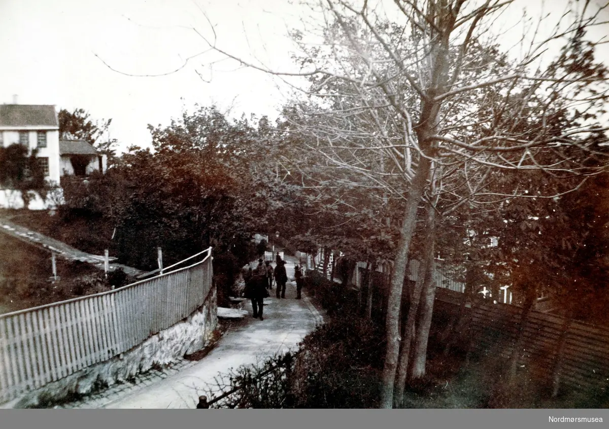 Et bilde hvor vi ser nedover Vågebakken, med litt av Johnsengården mellom trærne til høyre. Fra Nordmøre Museums fotosamlinger. dublett