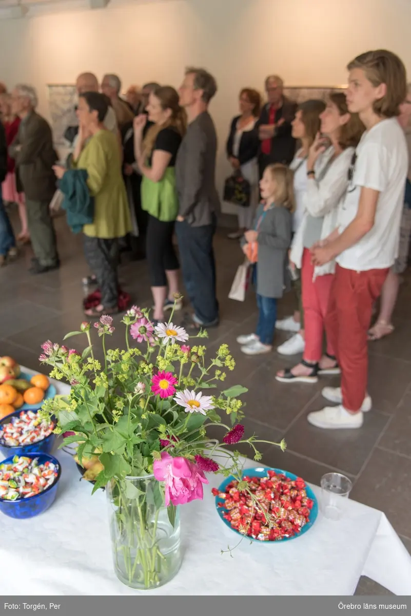 Invigning av utställningen "Jag tror jag vet" 18/6 2016