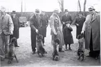 Silverrävsutställning i Folkets Park, Kalmar omkring 1937-38