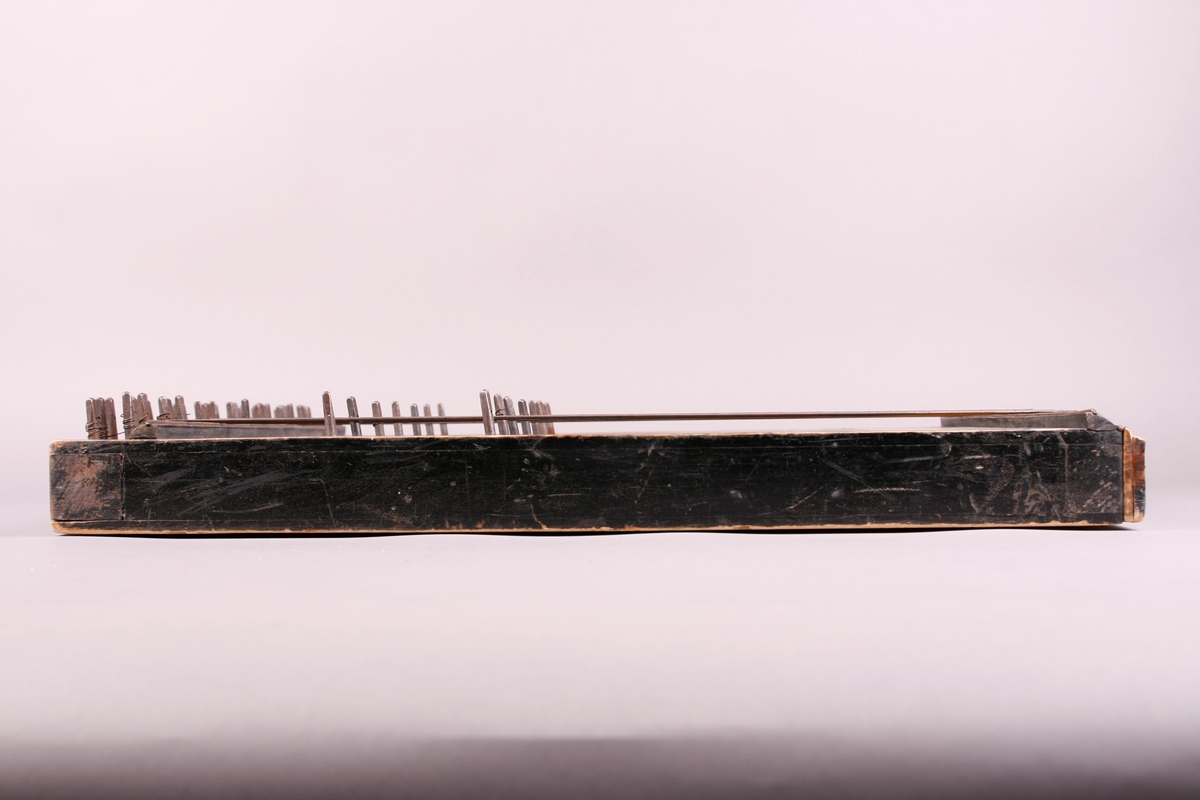 Citeren har følgende mål: Lengde 50 cm, maks bredde (på midten) 39 cm, bredde på anheng i nedre kant 37,7 cm, maks høyde (dybde) opp til og med stengeskruer: 6,7 cm. Høyde (dybde) på sarg: 4,5 cm. Citeren er laget av tre som er malt svart, formen er rektangulær og med noe buet «svung» på høyre side, sett forfra. Instrumentet er påmontert et brett (anheng) i nedre kant, som skjuler strengefestene. Brettet (planken) er skadet på venstre side.

Instrumentet har syv sett med strenger som hver danner en bestemt akkord, totalt 56 strenger. Disse akkordene er fra venstre til høyre: F dur, C dur, G dur, D dur, A dur, E dur og F# dur. Navn på toner, notelinje og nummer på strenger er påført (trykt?) på citerens nedre del, over anhenget. Inne i kassen er det en merkelapp i gult papir der det står at citeren er produsert av C.W.Johansson & Co. Musikinstrumentfabrik i Nässjö. Skrifta er trykt med svarte bokstaver:

«[Blomstdekor] Svensk Accord-Zittra N:o 7. [Blomstdekor] // [Uleselig blyantskrift] Fran [Från] // C.W.Johansson & Co. // Musikinstrumentfabrik // [Dekor] NÄSSJÖ. [dekor] // [Dekor] // Normalstämning»