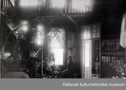 Interiörbilder från Samuelssonska villan. Från ca 1910-tal.