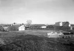 Texacos cisterner i Yttre hamn på en bild från 1939.