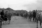 Bildsvit från Cirkus Strassburgers besök i Karlstad år 1929. Cirkusen är enligt expertisen den största som turnerat i Sverige.