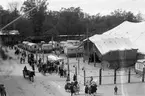 Bildsvit från Cirkus Strassburgers besök i Karlstad år 1929. Cirkusen är enligt expertisen den största som turnerat i Sverige.