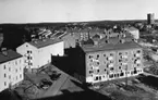 Vy över omfattande nybyggnation på Kvarnberget i slutet av 1940-talet.