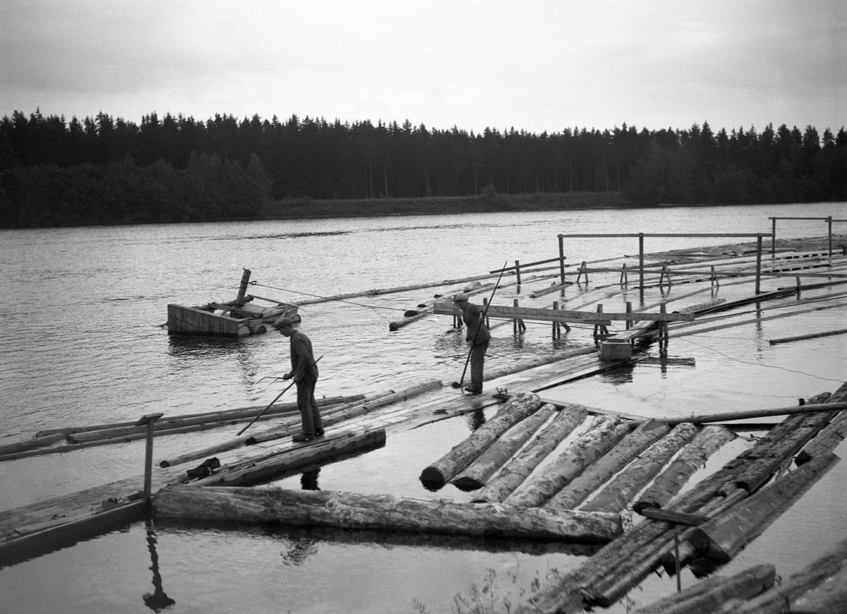 Bildsvit från Skåre ångsåg tagen 1934.