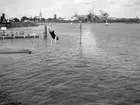 Bildserie från slutet av 1930-talet från Karlstads dåvarande simstadion. Anläggningen låg i anslutning till den s k badholmens östra sida söder om Kanikenäset. Badet invigdes 1923 och togs ur bruk och revs 1943 pga dålig vattenkvalité. En liknande konstruktion som ersatte den på bilderna byggdes upp i Örsholmstjärnet i början av 1950-talet.