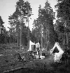 Sköna dagar på stranden, i Vänern eller vid tältet den sista sommaren före kriget, här Alsters strandbad.