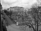 Stora torget med rådhuset 1955. Jämför med bild Bertil47. Se kommentar.