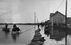 Översvämningen 1916. Repro
På bilden ser vi Rudsvägen trafikerad av ekor.