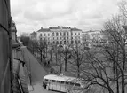 Bild tagen under första halvan av 1950-talet från Dan Gunners ateljé  på Tingvallagatan 7.