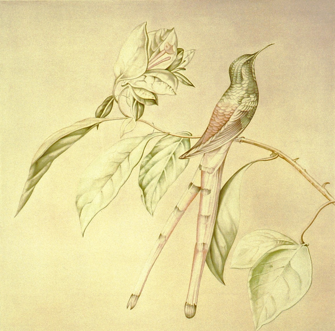 Verket består av 5 paneler montert samlet. 
Motivet i midten viser en sumpplante (venus flytrap) i landskap. På hver side er det avbildet pseudogotisk akantus ranke, og helt ytters på hver side en kolibri/foliage sittende på en gren, på monokrom fargeflate.