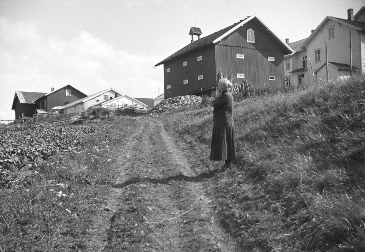 Imerslund, store, Vang H.