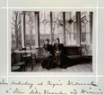 Bildserie tagen av August Malmborg (1875-1895), son till landshövding Adolf Malmborg, ägare till Våxnäs herrgård, och hans maka Julia, född Åkerhielm. Bilderna är tagna från tidigt 1890-tal fram till 1895 med bildtexten skriven av modern: Ebba Malmborg och Ingrid Widmark å Stora södra Verandan vid Wåxnäs.