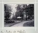 Bildserie tagen av August Malmborg (1875-1895), son till landshövding Adolf Malmborg, ägare till Våxnäs herrgård, och hans maka Julia, född Åkerhielm. Bilderna är tagna från tidigt 1890-tal fram till 1895 med bildtexten skriven av modern: Vy i parken vid Wåxnäs.