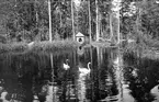 Mariebergsskogens norra fågeldamm år 1930.