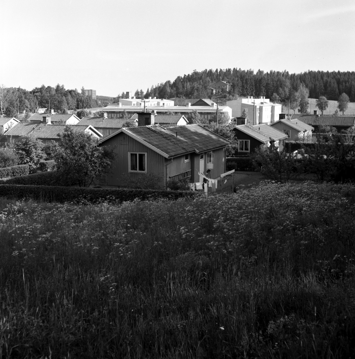 Någonstans i Värmland - från slutet av 1950-talet. Kommentar från användare: "Älvenäs, de närmaste husen ligger längs Silkesstigen och i fonden till vänster skymtar fabriken". 
Byggnaden uppe på kullen i fonden är den gamla Älvenäsrestaurangen.
Detta är Älvenäs i södra Vålberg. Fotografen har Kungsberget i ryggen, närmast hus längs Silkesstigen, något längre bort HSB:s hyreshus. Bortanför de närmaste husen anar man taket till tvåvåningshus med hyreslägenheter mot loftgång på andra våningen, och butiker i gatuplan mot Ingenjörsvägen.